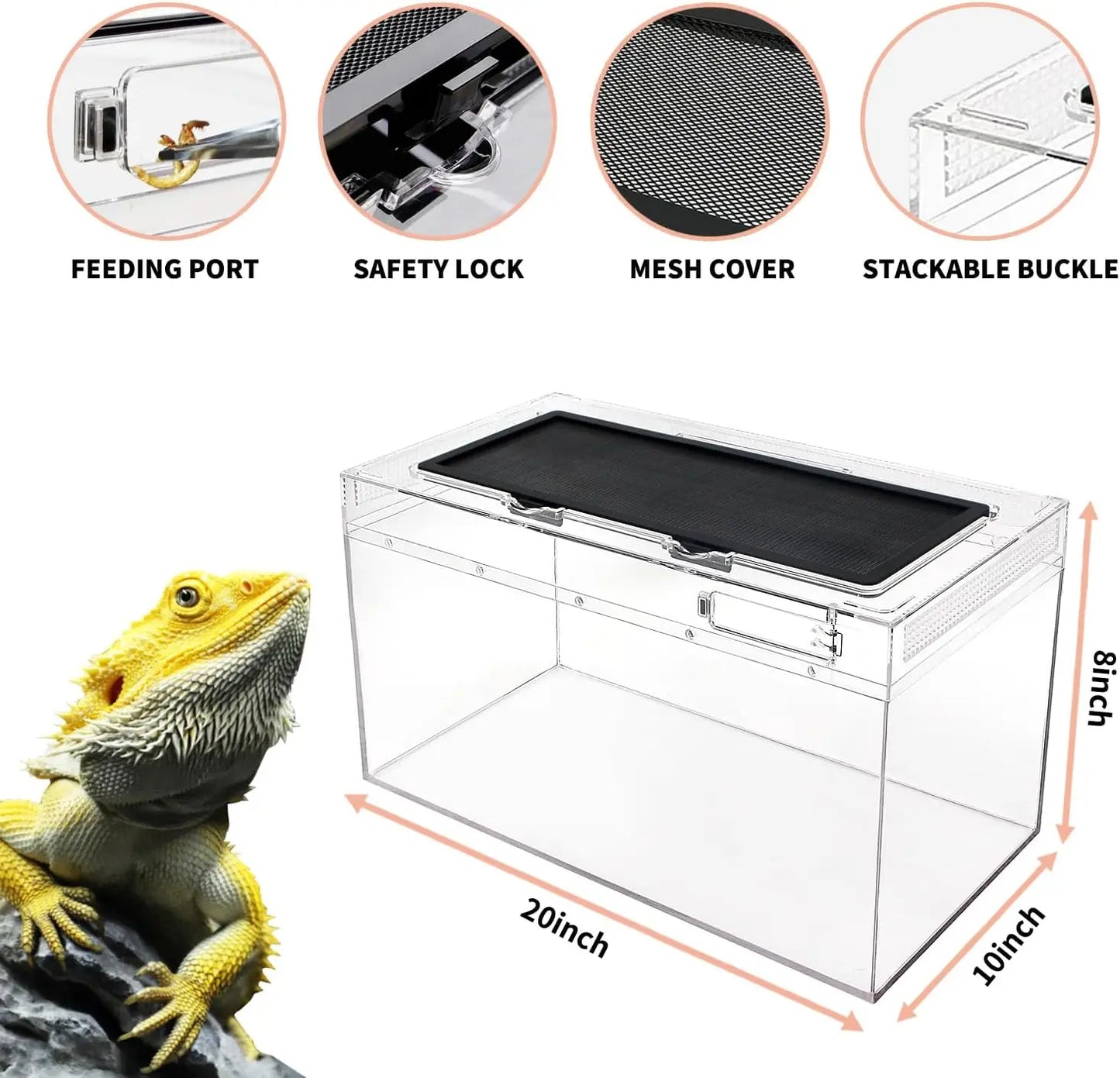 Reptile Terrarium Kit With Accessories For Small Pets