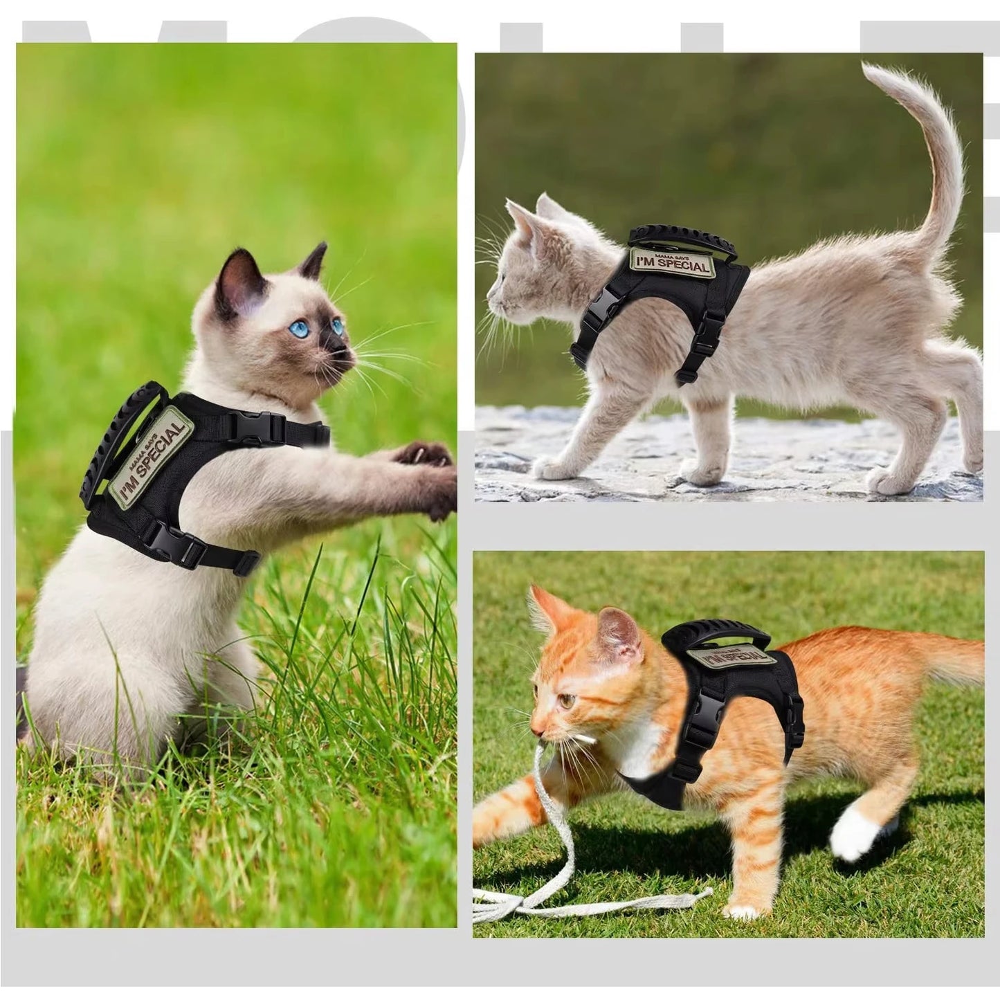 Outdoor tactical cat chest harness vest type lead rope anti-break adjustable walking cat leash Waterproof Cat Clothes Strap