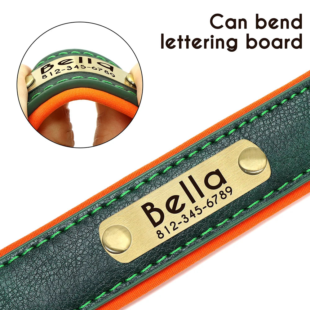 Didog PU Leather Nameplate Dog Collar With Engraving