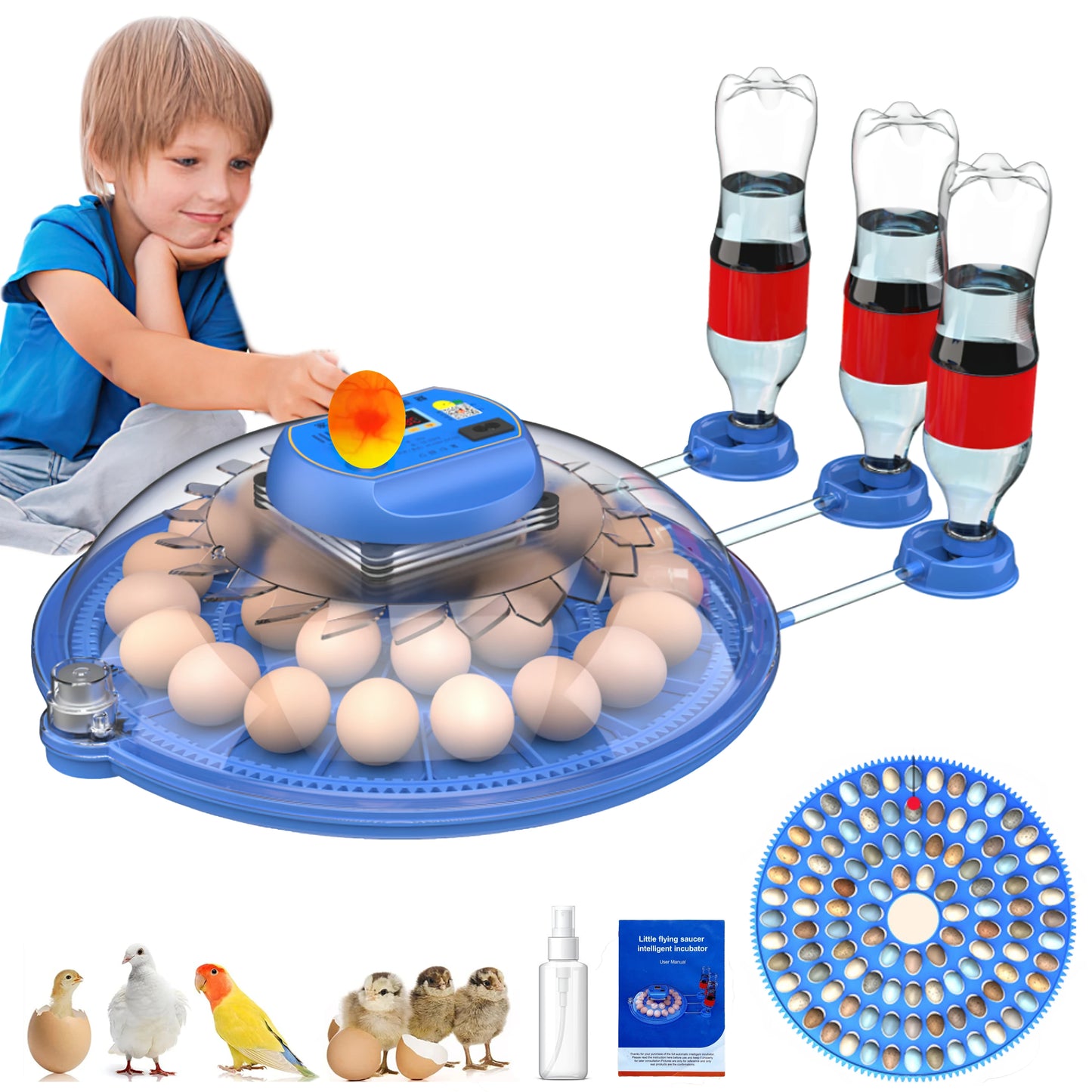 Automatic Egg Incubator With Watering System And 360 Degree View