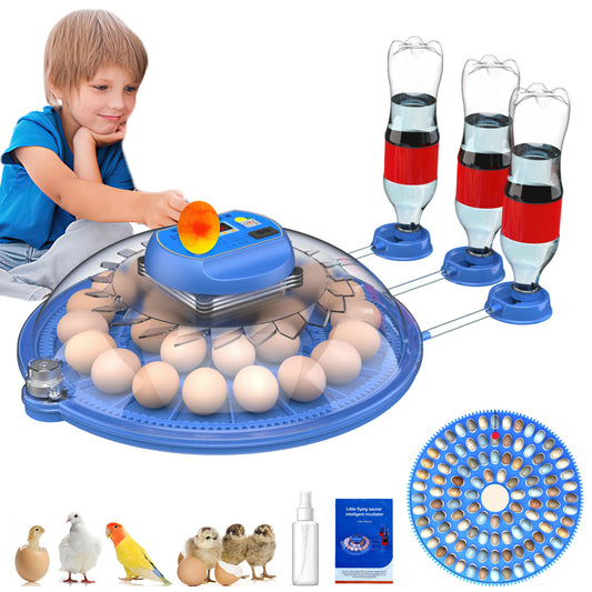 Automatic Egg Incubator With Watering System And 360 Degree View