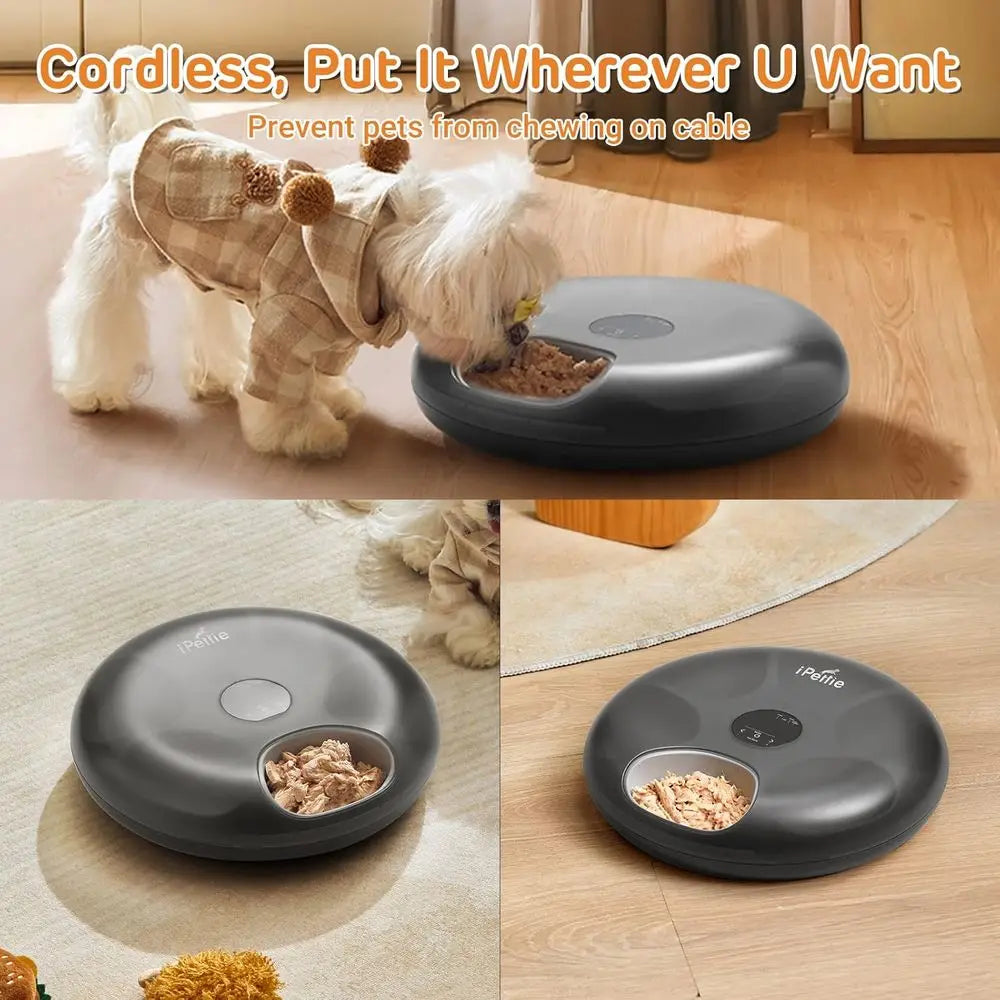 Automatic Cat Feeder 6-Meal Capacity With Ice Packs Rechargeable