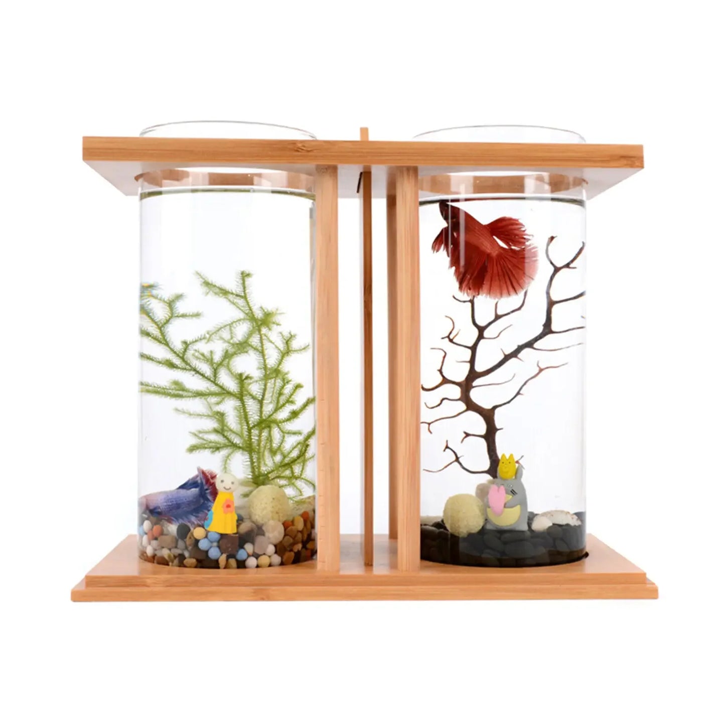 Dual Chamber Bamboo Betta Aquarium With LED Light System