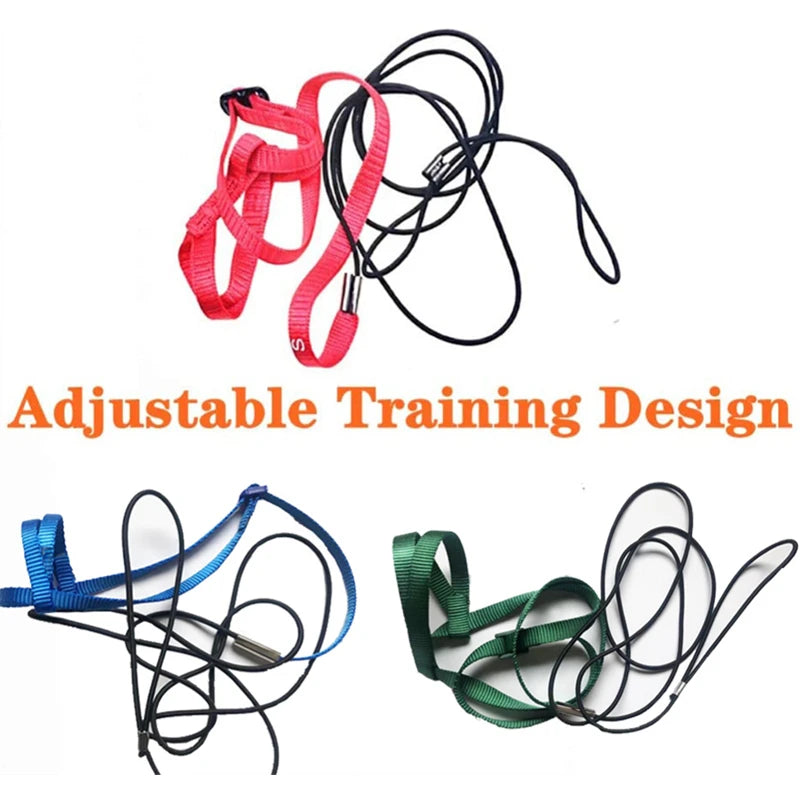 Parrot Bird Harness Leash Flying Traction Rope For Small Parakeets