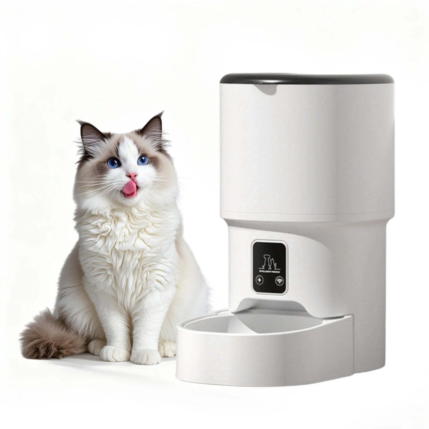 HiMISS 4L Automatic Cat Feeder With Timer And Portion Control