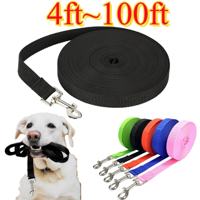 Reflective Nylon Dog Leash for Training and Outdoor Walking
