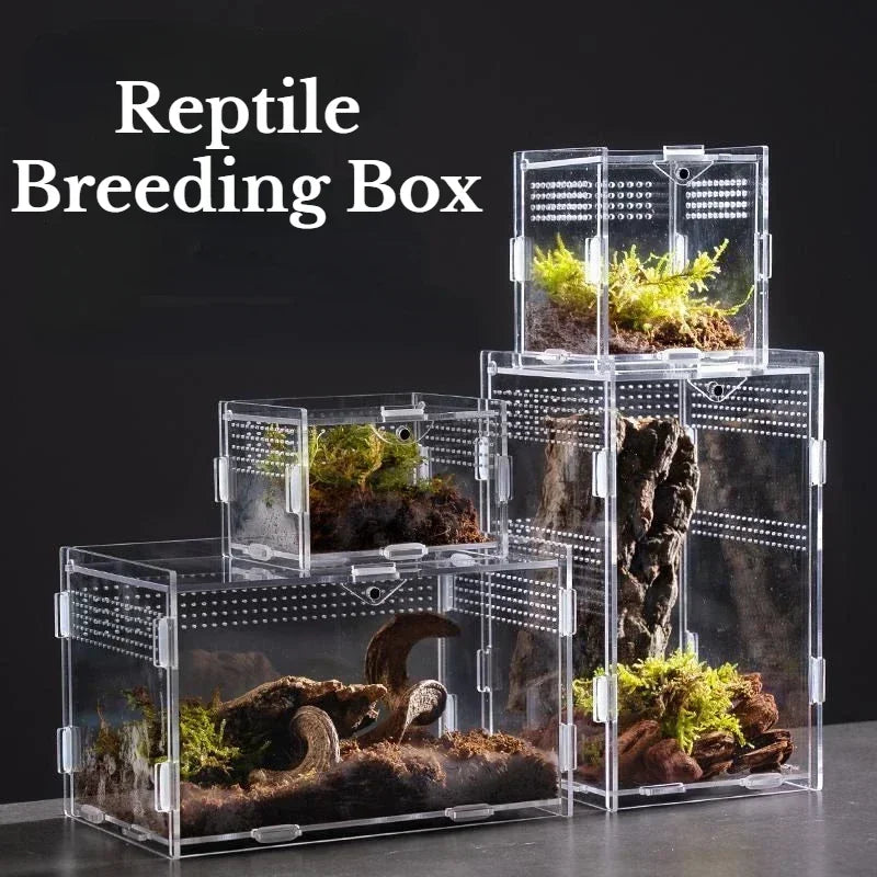 Acrylic Reptile Habitat Terrarium Box Enclosure For Tarantulas