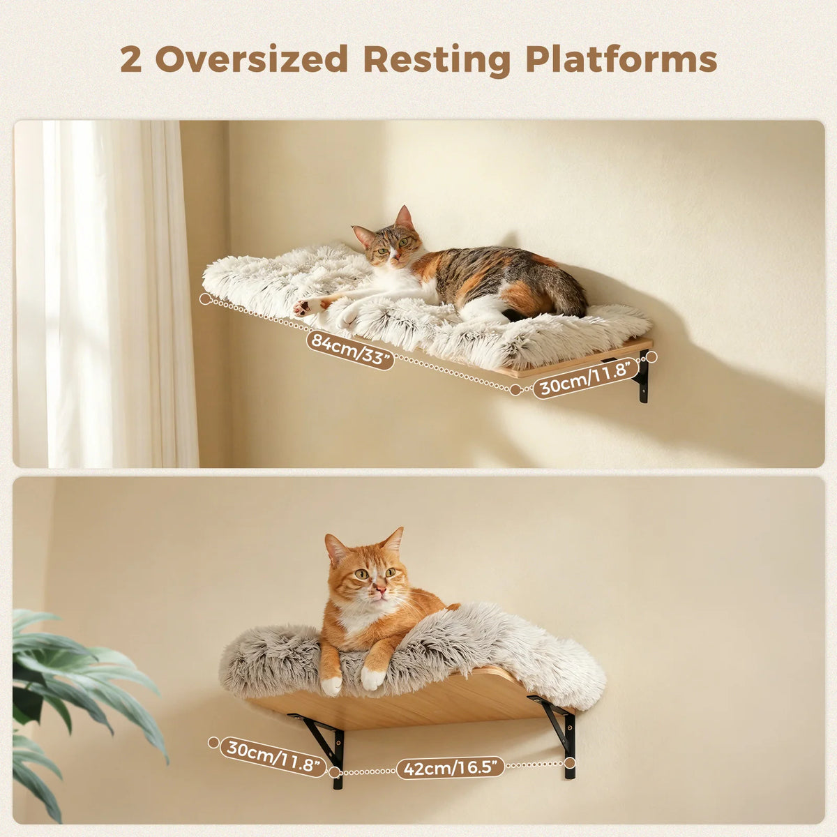 PAWZ Road Wooden Cat Wall Climbing Shelves With Scratching Perches