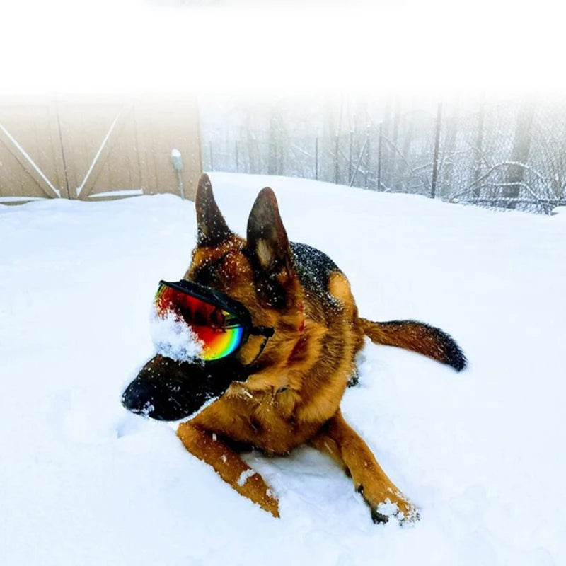 PETRAVEL Dog Goggles UV Protection Glasses for Travel