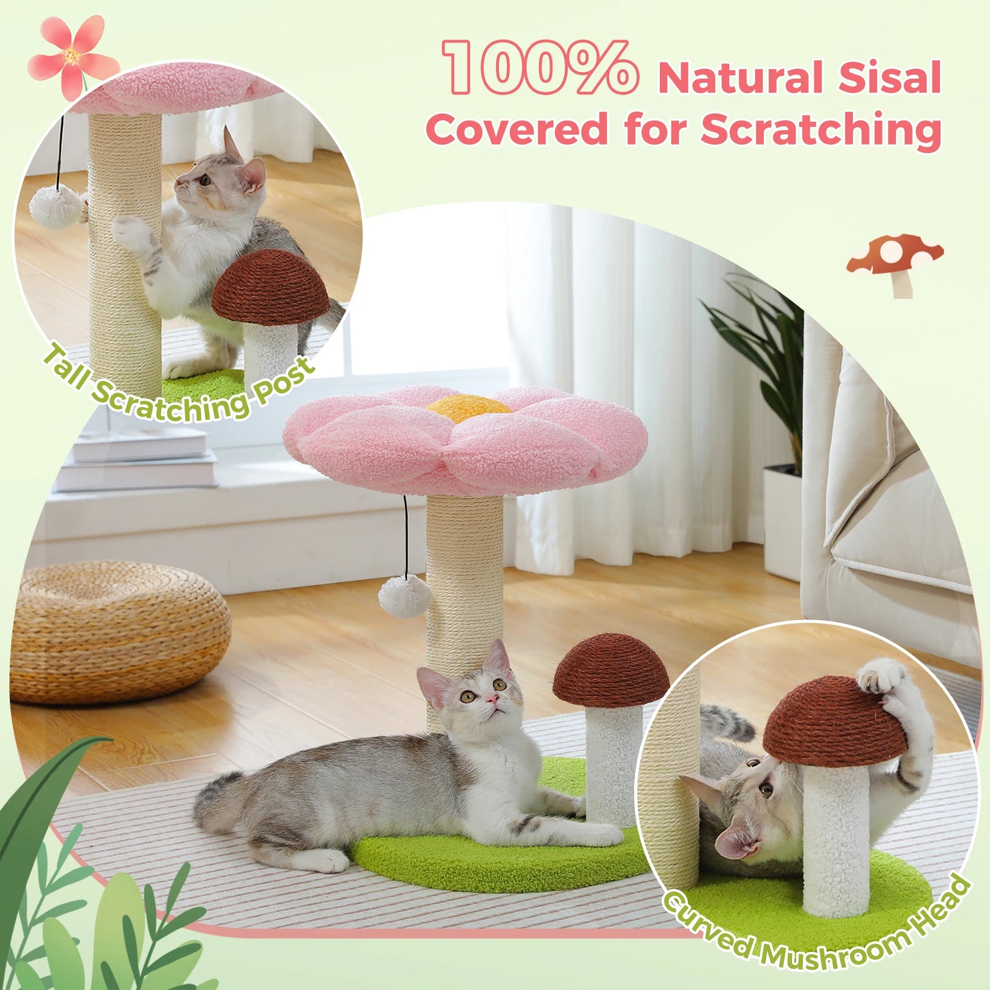 PAWZ Road Cat Scratching Post With Removable Flower Bed