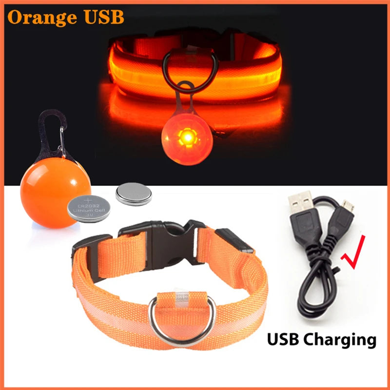 USB Charging Glowing Dog Collar With Pendant Detachable LED Light