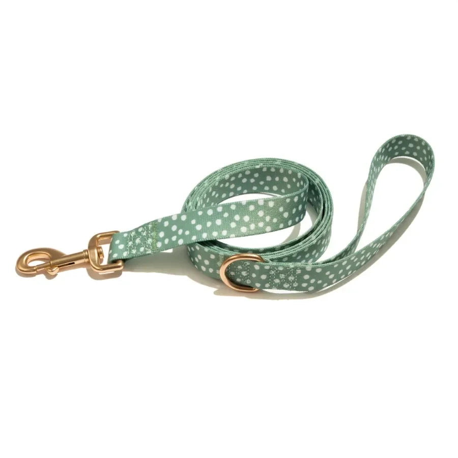 Polka Dot Print Fashion Dog Collar with Metal Buckle and 6ft leash Teal Green Small