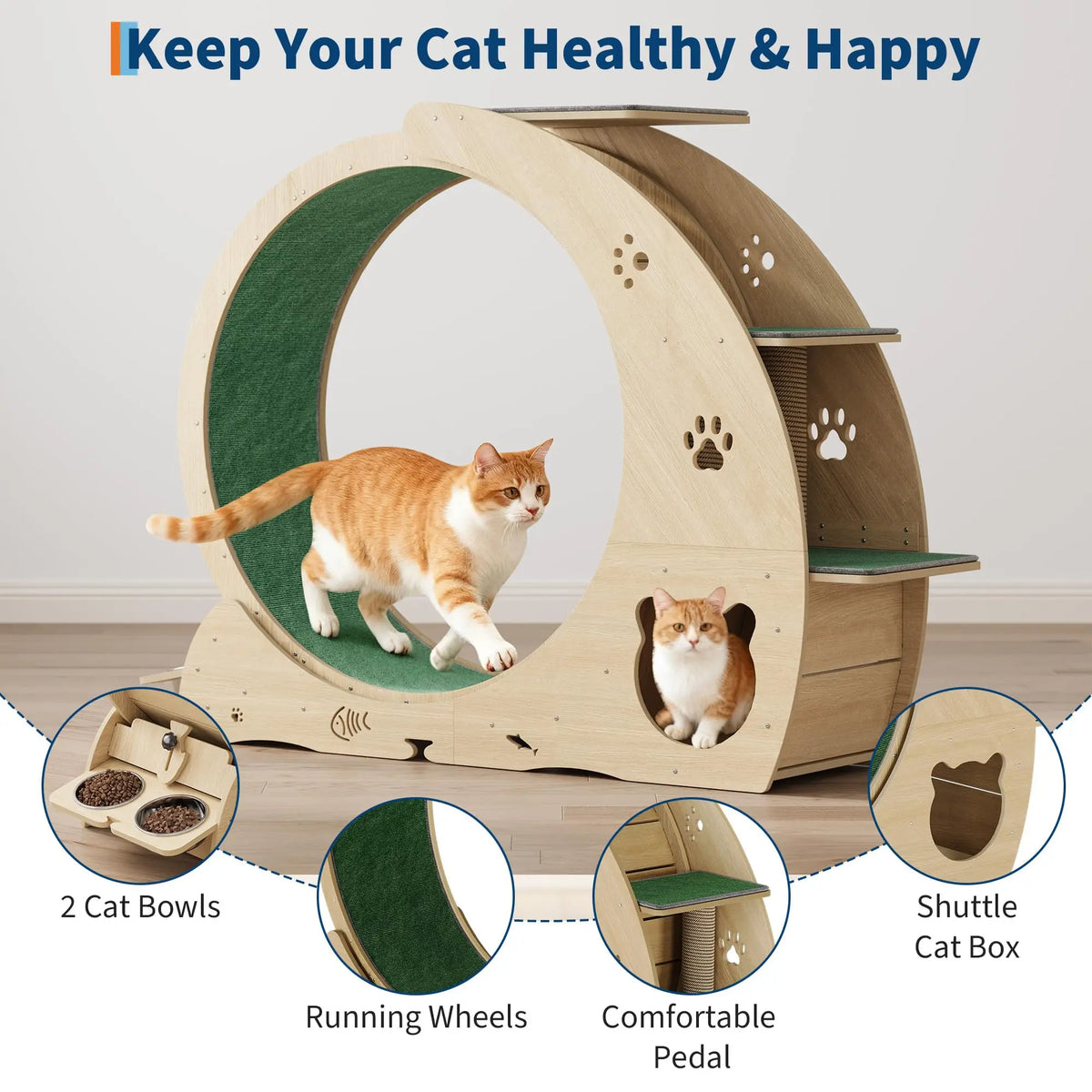 HiMiss 6-In-1 Large Quiet Cat Exercise Wheel With Bowls