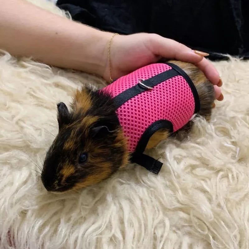 Summer Breathable Mesh Harness for Guinea Pigs, Rabbits, Ferrets
