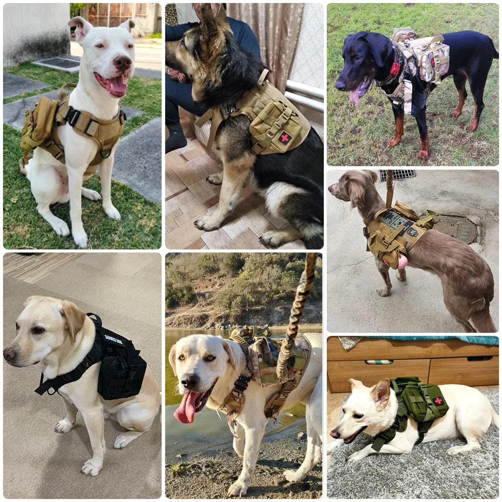 Petravel Dog Tactical Molle Bag Set for Harness Training
