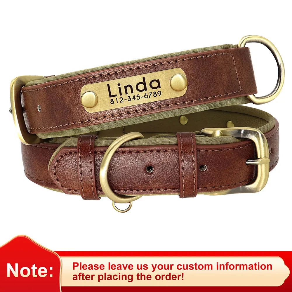 Didog PU Leather Nameplate Dog Collar With Engraving