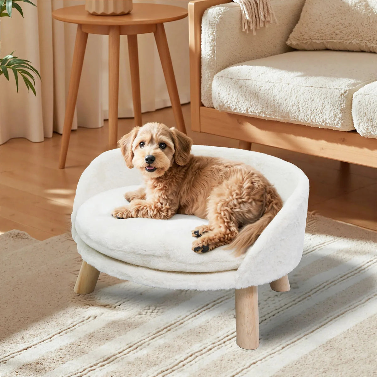Borwart Elevated Dog Cat Sofa Bed With Removable Cotton Cushion