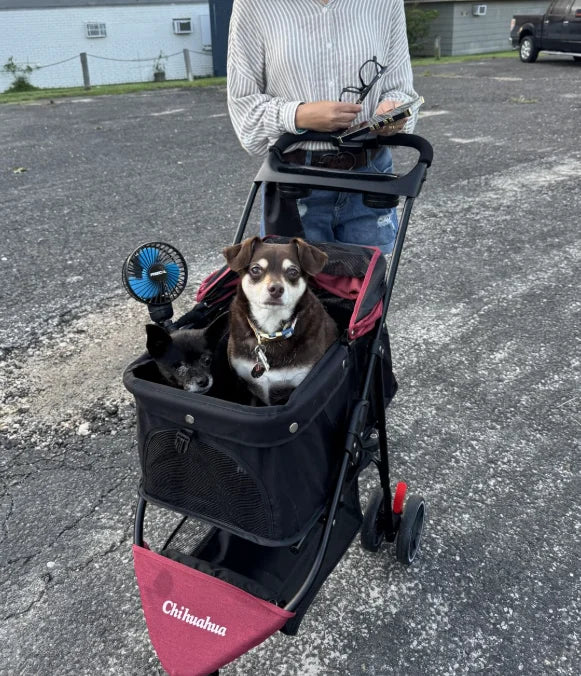 Chihuahua Portable Foldable Pet Stroller Travel Carrier With Canopy