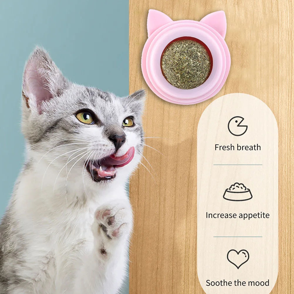 Shunmaii Rotatable Cat Cleaning Toy Catnip Wall Balls for Cats