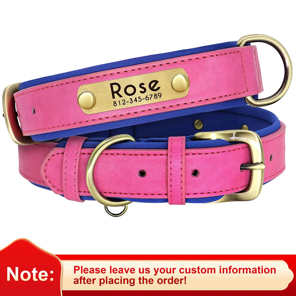 Didog PU Leather Nameplate Dog Collar With Engraving
