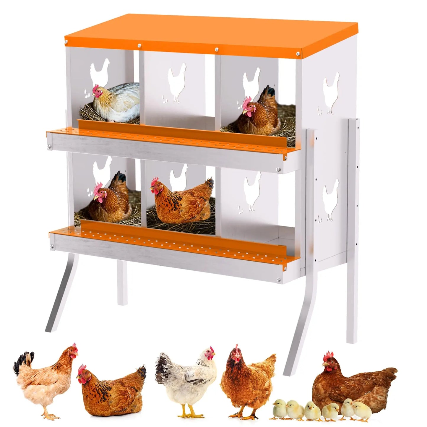 Studyset 6 Compartment Chicken Nesting Box With Removable Tray Wall Mount
