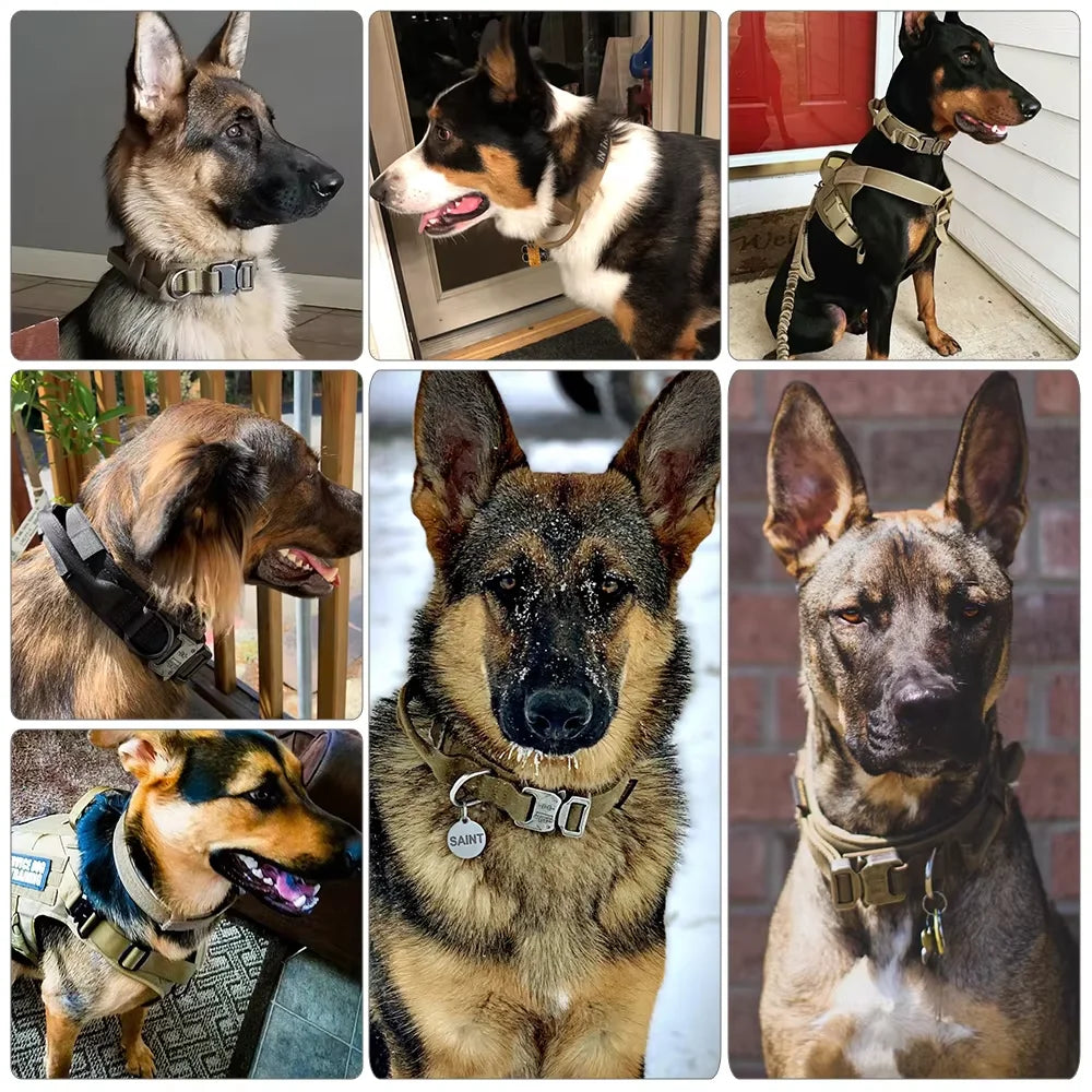 Padded Adjustable Nylon Dog Harness And Collar Combo