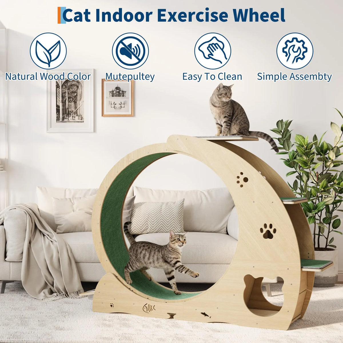 HiMiss 6-In-1 Large Quiet Cat Exercise Wheel With Bowls