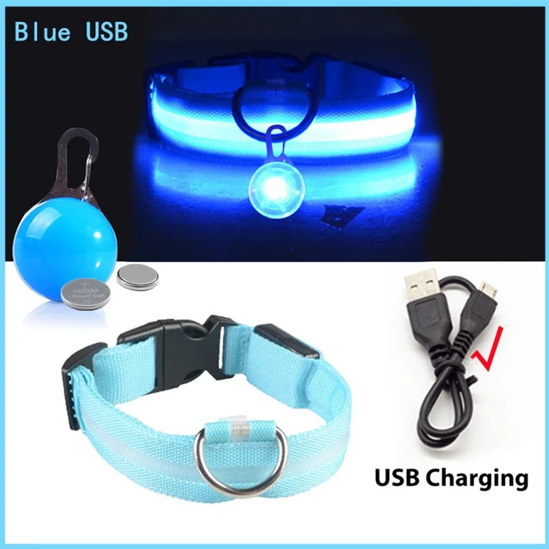 USB Charging Glowing Dog Collar With Pendant Detachable LED Light