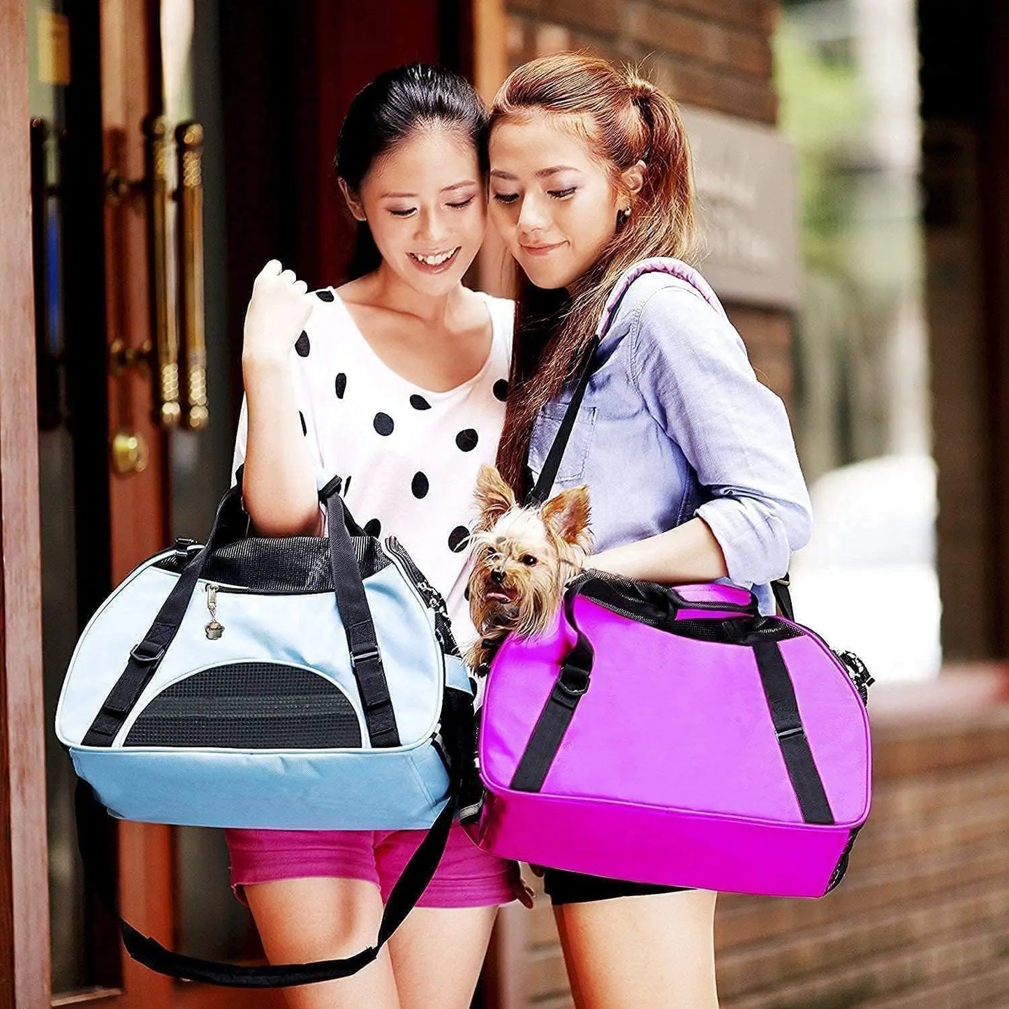 Soft Sided Cat Carrier for Travel with Foldable Design and Shoulder Strap, Small Blue for Pets Under 8lb