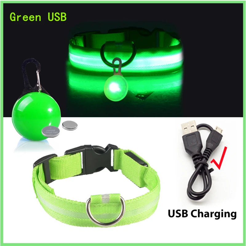 USB Charging Glowing Dog Collar With Pendant Detachable LED Light