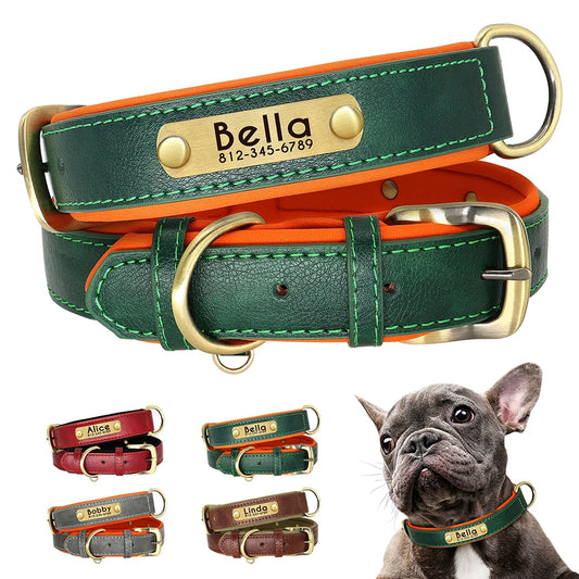 Didog PU Leather Nameplate Dog Collar With Engraving