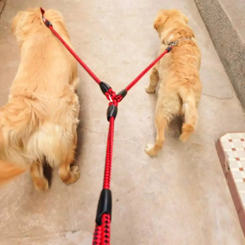 1.4m Double Dog Leash With Two Way Coupler And Elastic