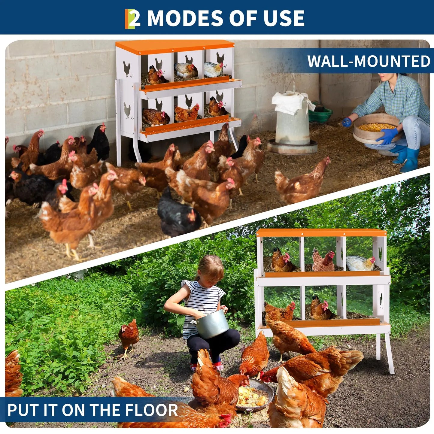 Studyset 6 Compartment Chicken Nesting Box With Removable Tray Wall Mount