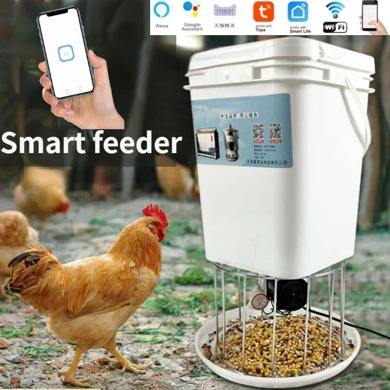 Automatic Chicken Feeder And Pigeon Trough With Timed Feeding