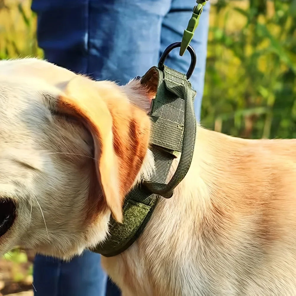 Padded Adjustable Nylon Dog Harness And Collar Combo