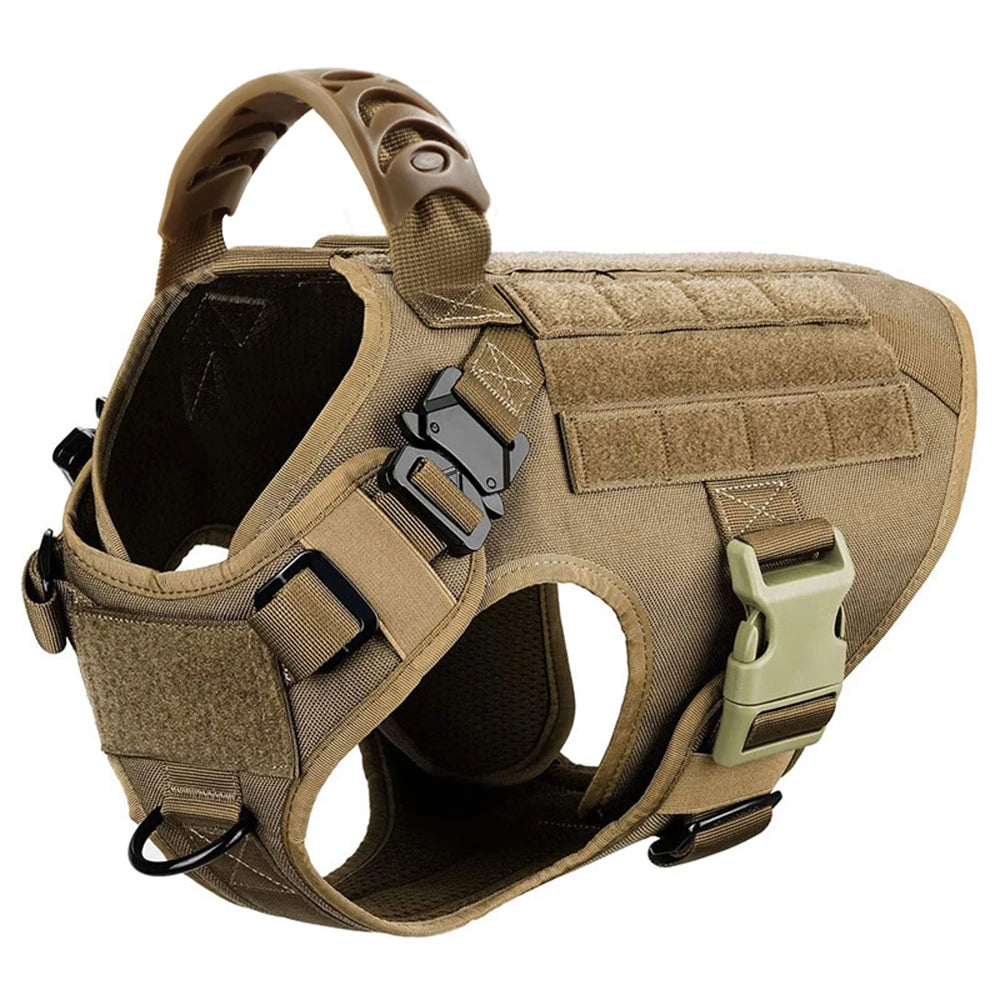 Petravel CN Dog Harness And Leash Set For Training