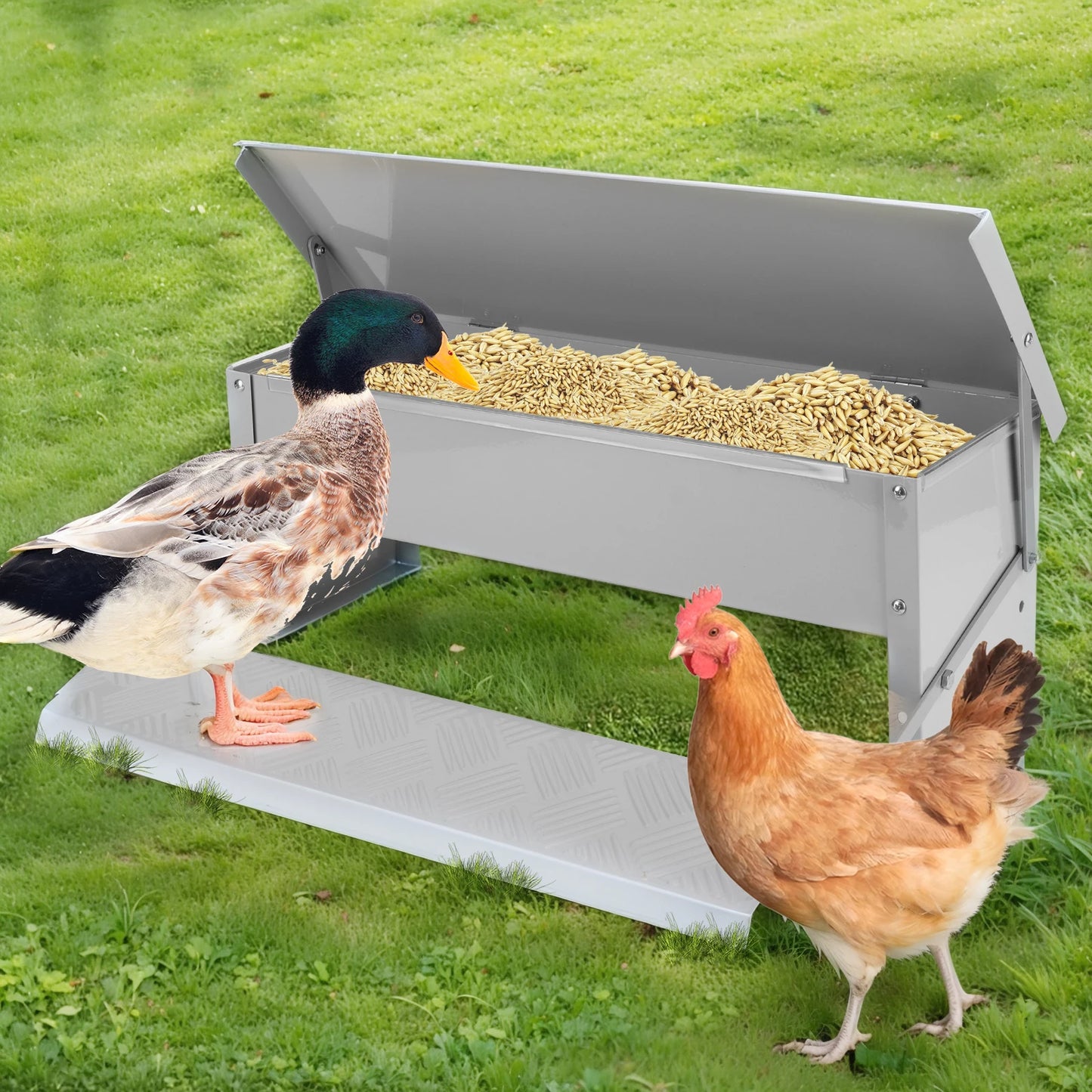 Automatic Chicken Feeder No Waste Treadle 11lb Stainless Steel Poultry Feeder with Weatherproof Lid for Chicken Pheasants Ducks