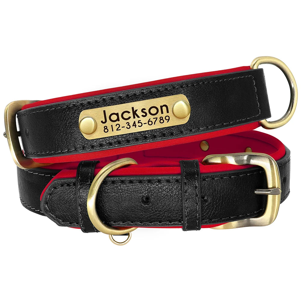 Didog PU Leather Nameplate Dog Collar With Engraving
