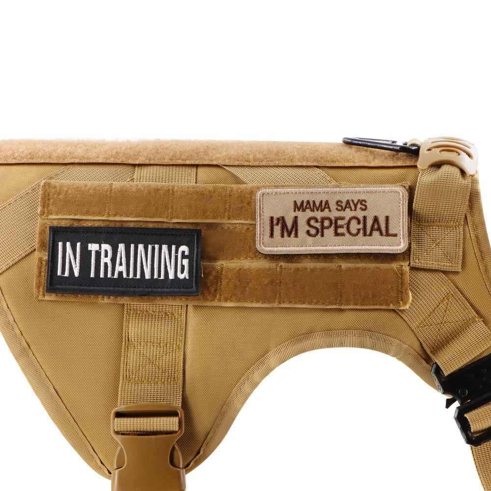 PETRAVEL Tactical Patch Bundle for Dog Vest and Collar