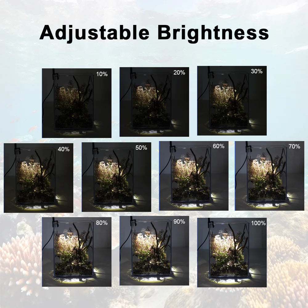 USB Aquarium Grow Light ClipOn LED 3W For Aquatic Plants