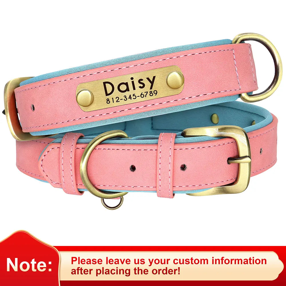 Didog PU Leather Nameplate Dog Collar With Engraving