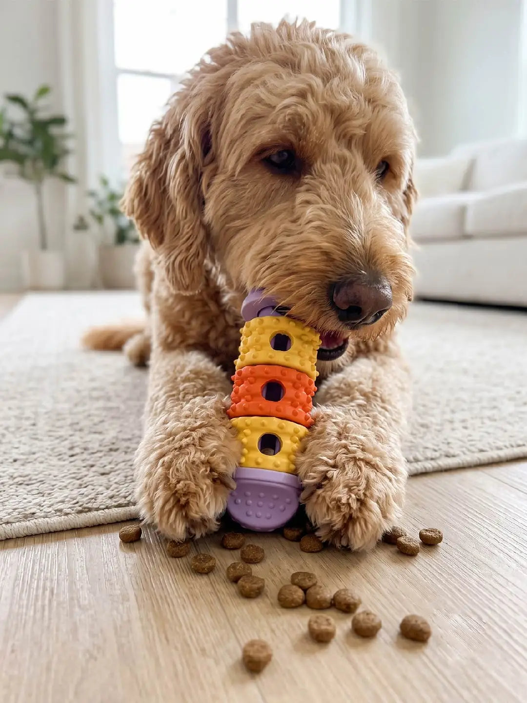 Dog enrichment toy with fun treat-dispensing design and textured chewing surface, built-in snack slots for slow feeding, suitable for all dog breeds for daily exercise and training