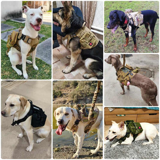 Tactical Dog Harness Leash Set for Large Dogs Military Harnesses for Training Walking Hunting Pet Vest Handle No Pull Malinois