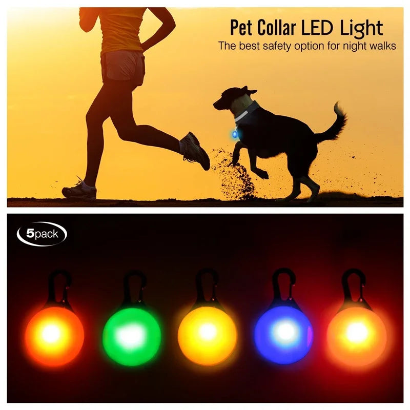 USB Charging Glowing Dog Collar With Pendant Detachable LED Light