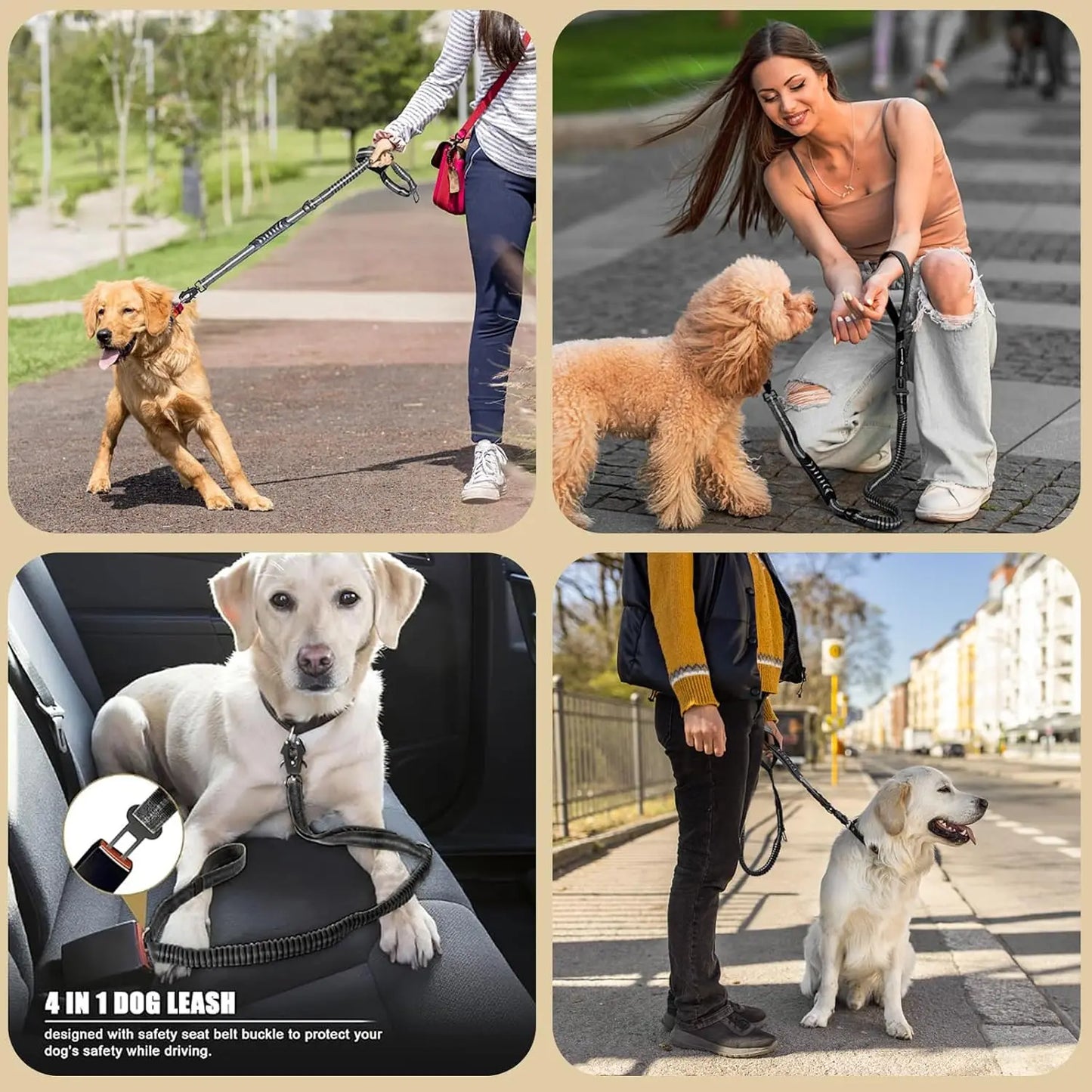 Reflective Shock Absorbing Pet Leash For Large Dogs Heavy Duty