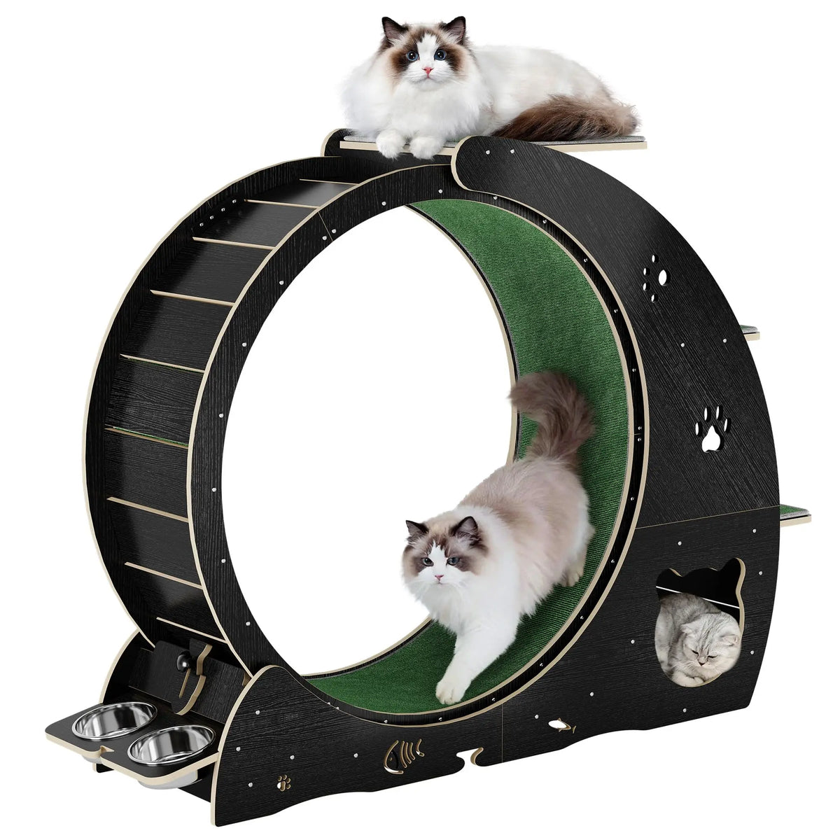 HiMiss 6-In-1 Large Quiet Cat Exercise Wheel With Bowls