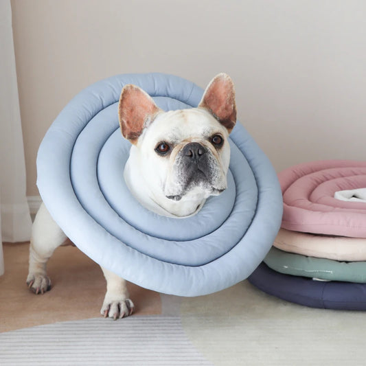Elizabeth Adjustable Pet Recovery Collar For Dogs And Cats
