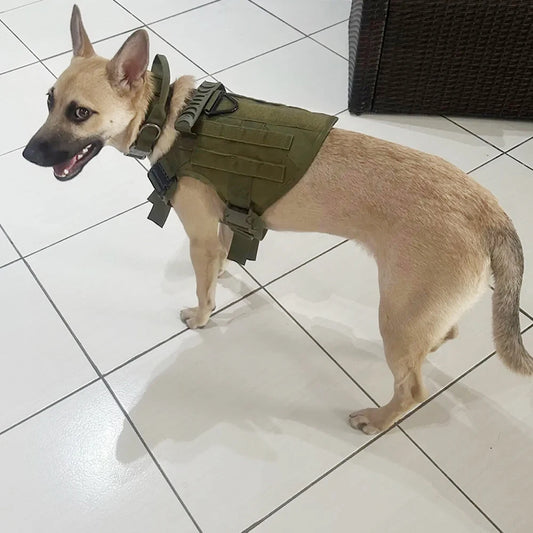 Padded Adjustable Nylon Dog Harness And Collar Combo