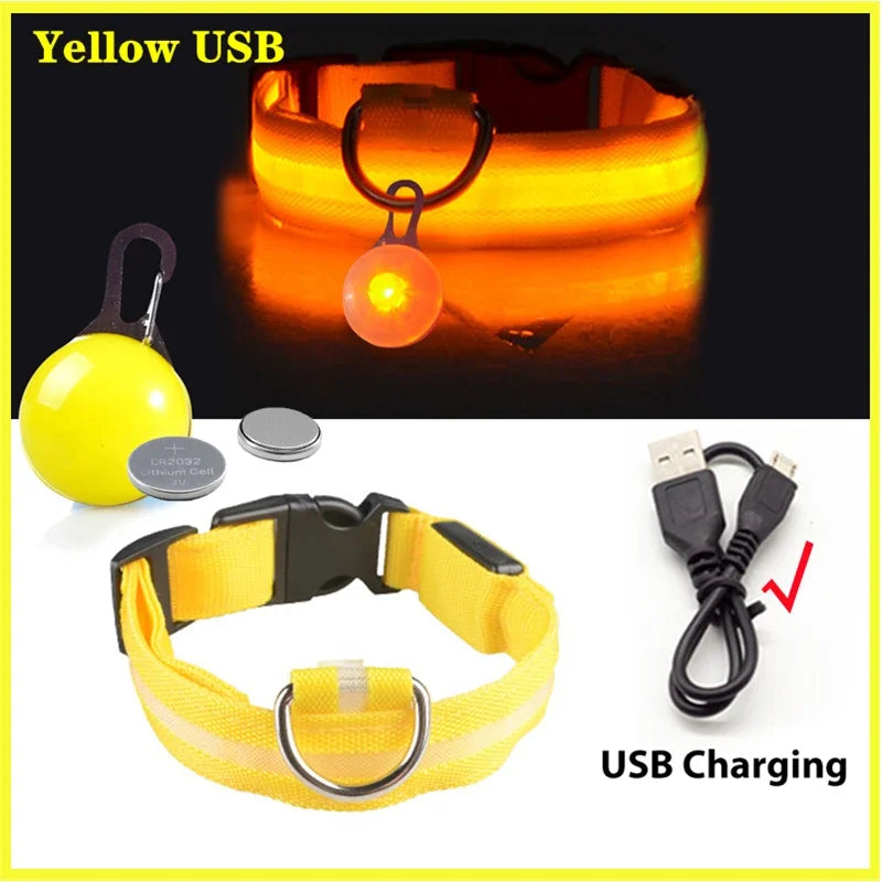 USB Charging Glowing Dog Collar With Pendant Detachable LED Light