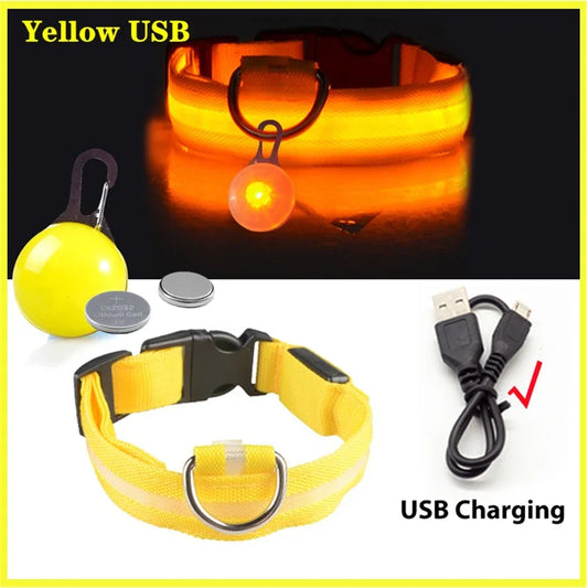 USB Charging Glowing Dog Collar With Pendant Detachable LED Light